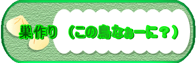 �����@�i���̒��Ȃ��[�ɁH�j